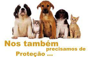 Conselho de Proteção aos Animais é aprovado pela Câmara Municipal