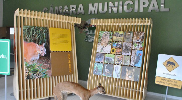 Exposição na Câmara Municipal