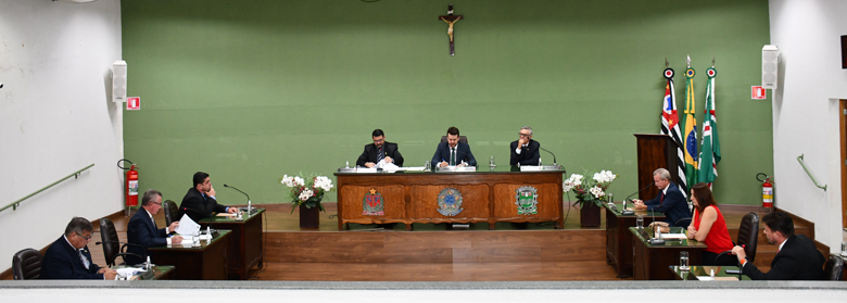 17ª SESSÃO ORDINÁRIA