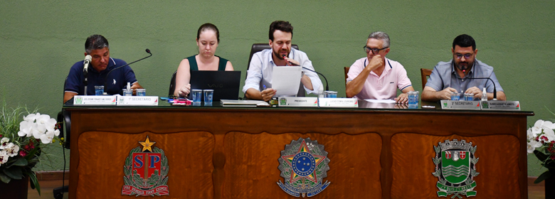 29ª SESSÃO EXTRAORDINÁRIA